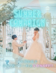 ＼ 夏限定のBIGチャンス！大人気プランが半額に ( *&acute;艸｀)／