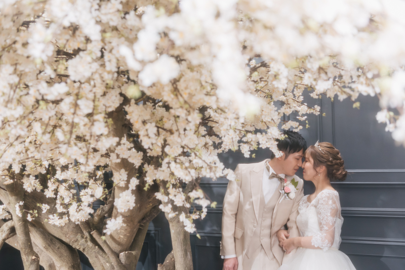お悩み中の皆様へ♡お得なプランのご紹介