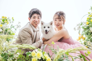 ワンちゃん・ネコちゃん