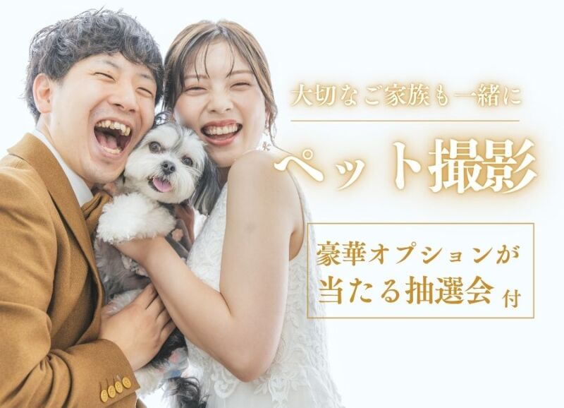 【最新】スタジオアロウズ キャンペーン紹介!!!
