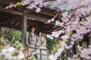 【春の定番!!!】桜フォト