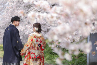 桜でウエディングフォトを前撮りをする魅力とは