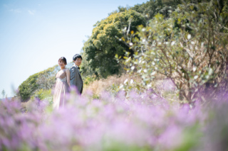 今がベストシーズンです♪