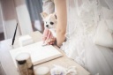 ワンちゃんとphotowedding♪