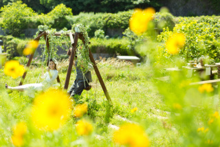 秋のロケーションフォトはお早めのご予約がおすすめです♪