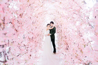 【期間限定キャンペーン】