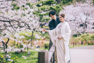 ＊桜ロケーションフォトの空き状況のご案内＊
