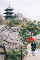 ✳︎開催中のキャンペーンと直近のご見学会 空き状況のお知らせ✳︎