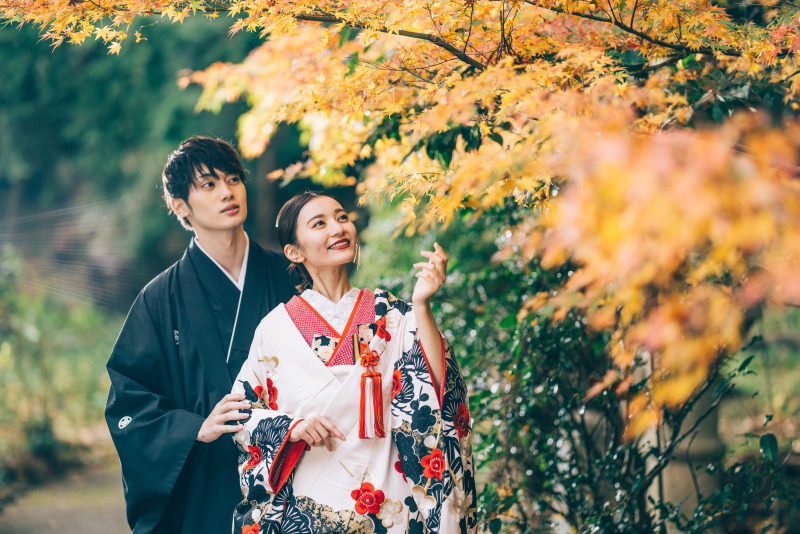 紅葉の撮影をするなら今がお得!Autumn campaignのお知らせ♪