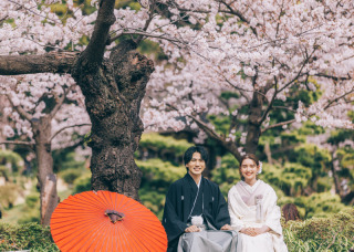 桜ロケーション撮影のご案内!!