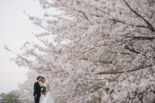 今週の来店・オンライン相談空き状況♡〈2/17〜2/23〉