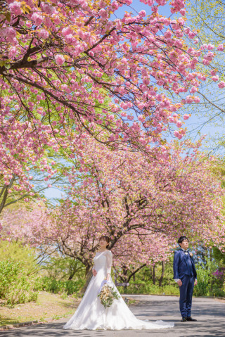 1ヶ月限定!桜フォトプランのご案内✿