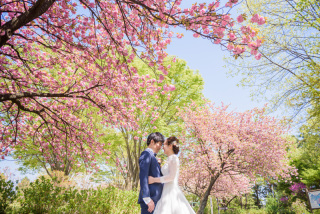 【今だけ4万円OFF!】限定プランのお知らせ♪