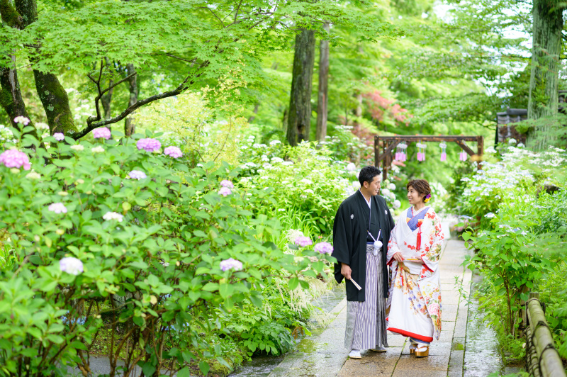 紫陽花が満開になります♪