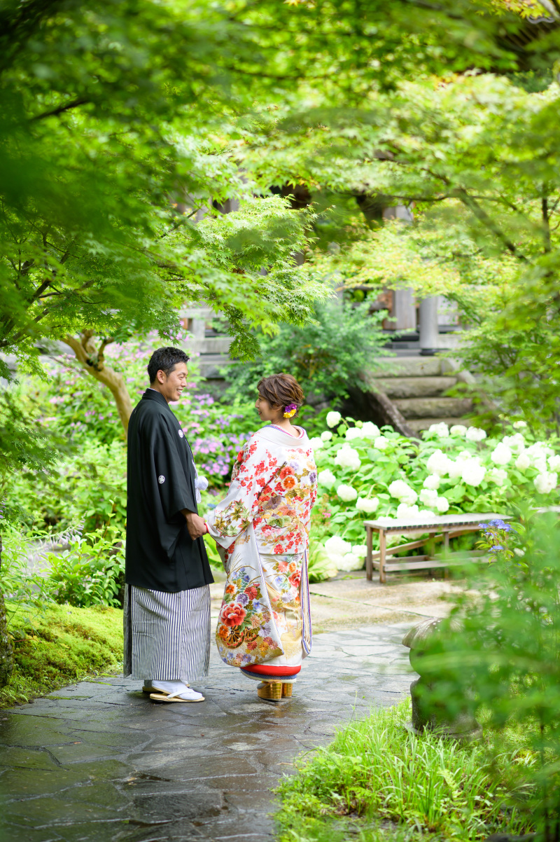紫陽花が満開になります♪