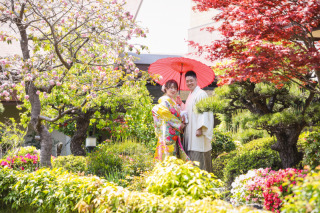 館内ロケ『日本庭園』