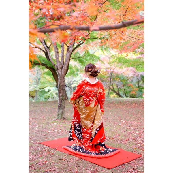 色打掛紹介