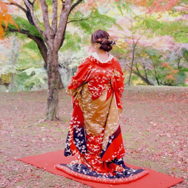 色打掛紹介