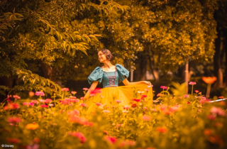 実写白雪姫のご案内☆*:.｡