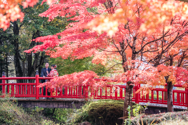 ロケーション場所紹介 紅葉(慧日寺)