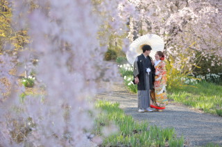 春のロケーションを検討中の皆様へ