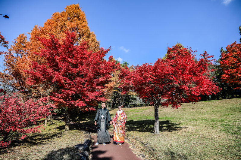ロケーション場所紹介 紅葉(慧日寺)