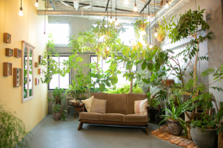 背景紹介【グリーン】