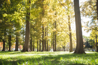 人気急上昇!水元公園ロケ