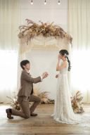 Springキャンペーン