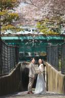 深川地区を巡る桜ロケーションツアーのご紹介