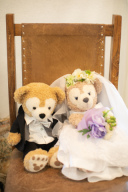 ぬいぐるみと撮影