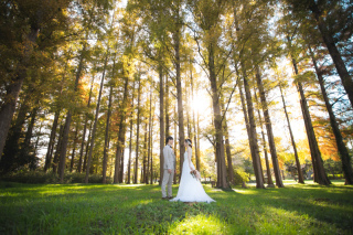水元公園ロケーション撮影