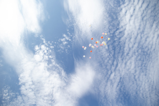 撮影レポートを更新しました！