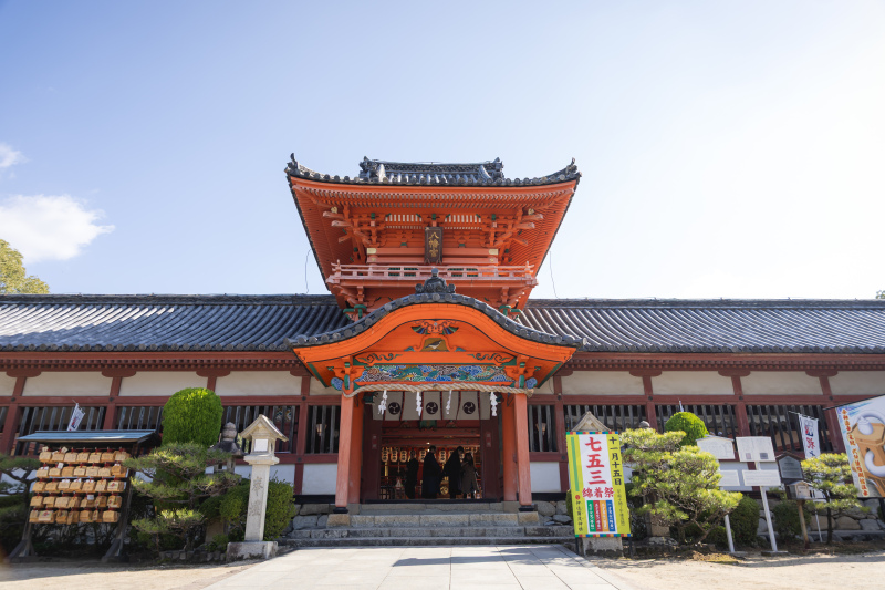 秋の美しい季節に残す、神社ロケーションフォト
