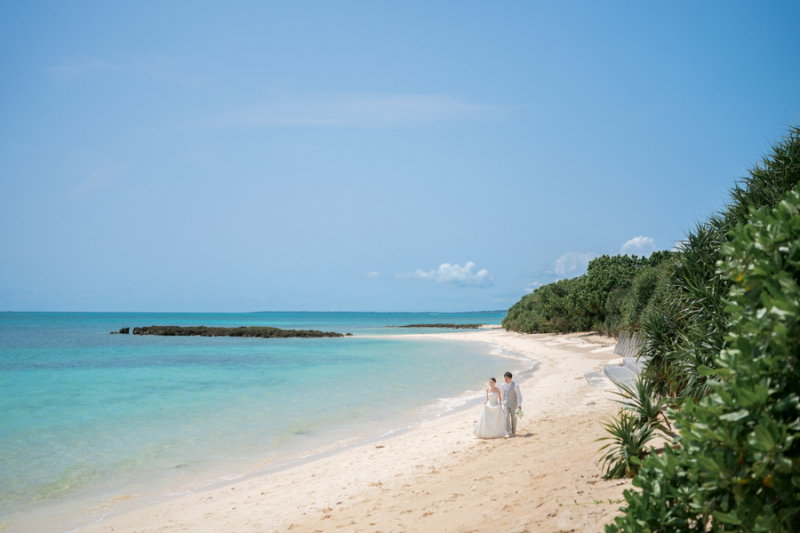 どんな夏を過ごしていますか?