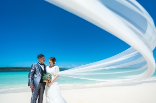 ドレスやベールを使った美しいお写真✌︎('ω'✌︎ )