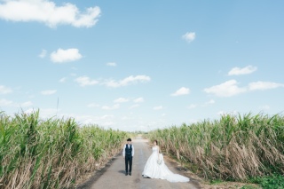 ビーチはグリーンもおすすめ!