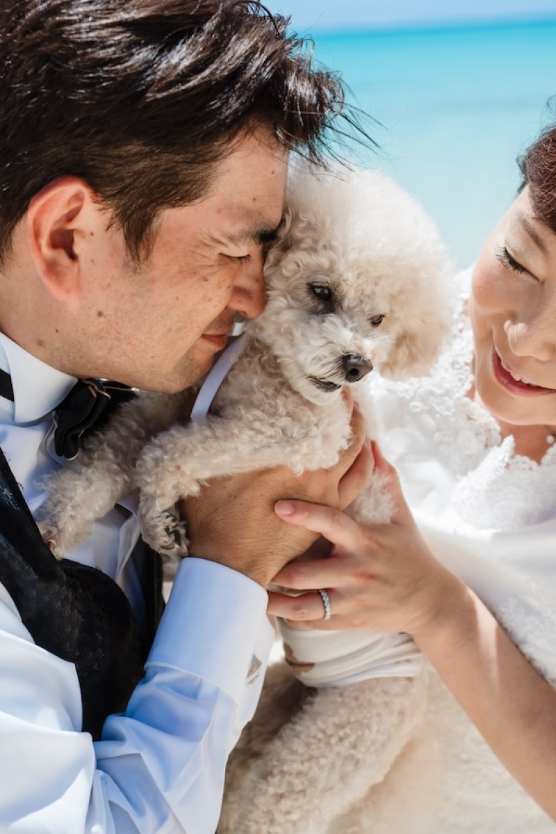 愛犬と一緒に撮影U^ェ^U