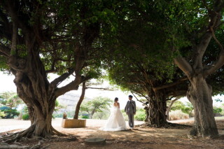 宮古島・幸せを呼ぶ木☆ガジュマルの下で☆