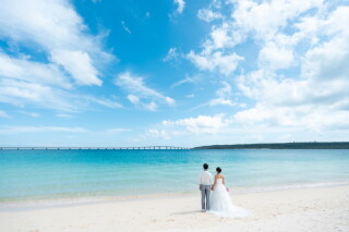 ウミガメと一緒に♪宮古島の海で素敵な思い出を♡