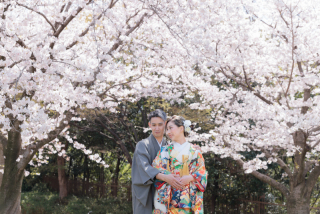 桜シーズンのご予約開始！！