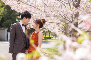 桜のロケーション撮影プランが登場！