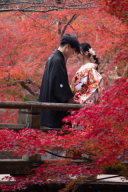 和装×紅葉　日本らしい組み合わせはいかがですか？