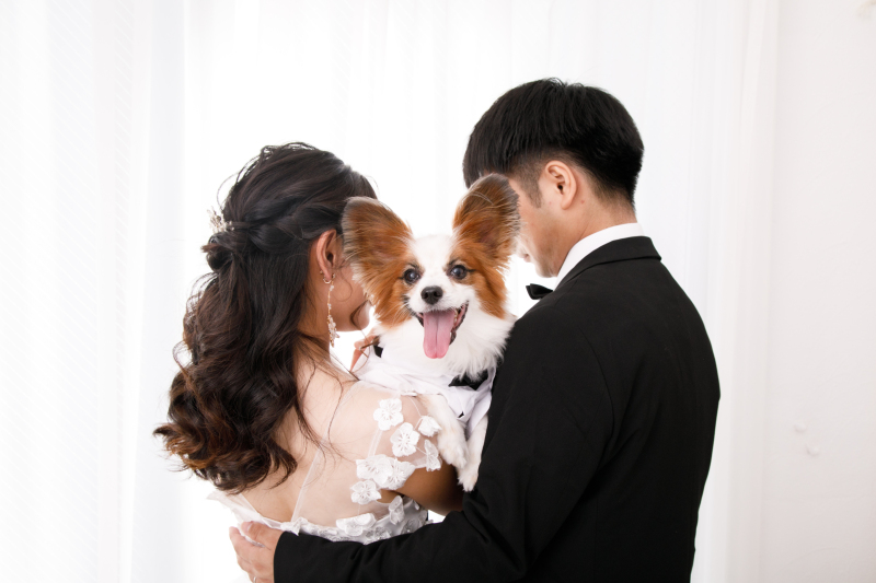編集中　大好きな家族と一緒に♡ ペット撮影OKなスタジオ！