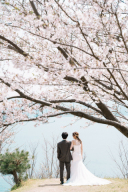 ドレスが映える。外ロケーションで残す洋装フォトウエディング・バックショット特集