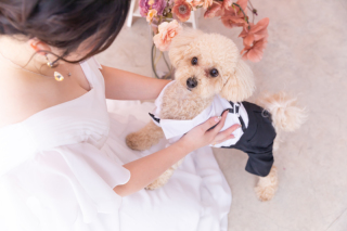 ペットちゃんとの撮影も♪