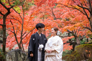 良い夫婦の日♡ブライダルフェア開催♪