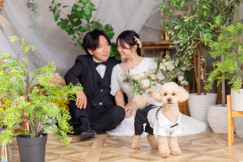 編集中　大好きな家族と一緒に♡ ペット撮影OKなスタジオ！