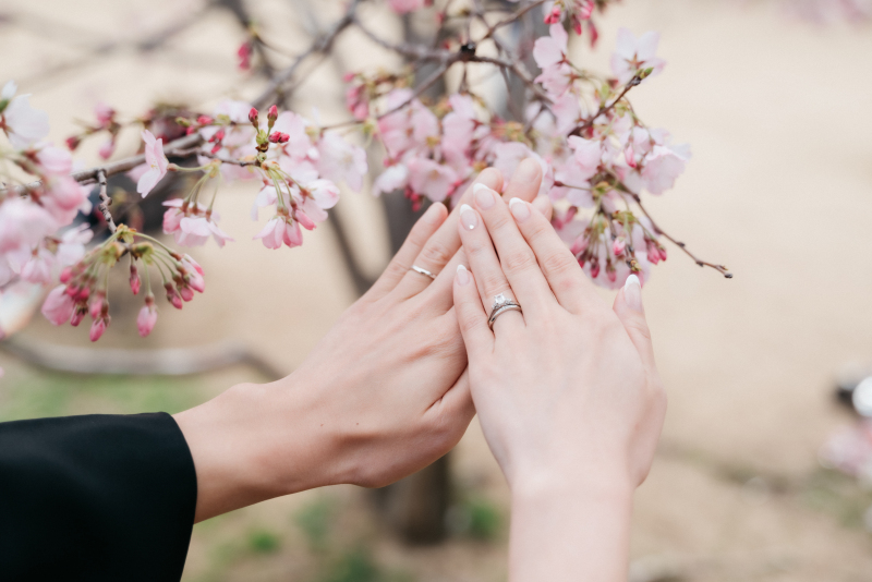 スタジオもロケーションも◎桜ロケもOK！洋装+和装185,000円！