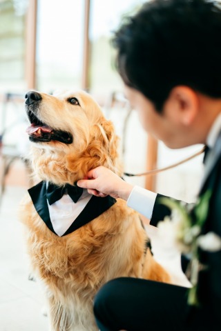 ワンちゃんとの撮影♪